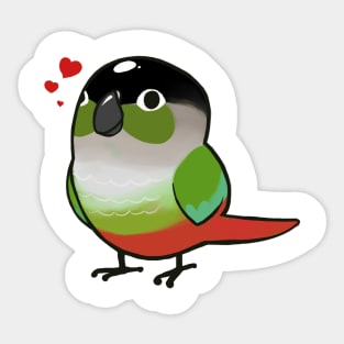 Conure 3 Sticker